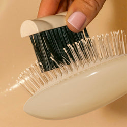 The cleaning brush